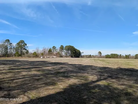 522 Plum Nearly Lane Trenton NC 28585