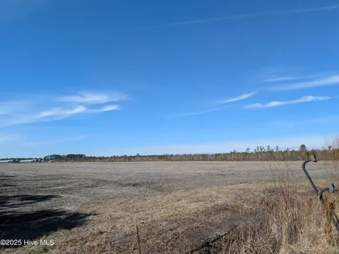 522 Plum Nearly Lane Trenton NC 28585