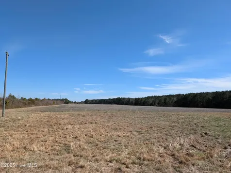 522 Plum Nearly Lane Trenton NC 28585