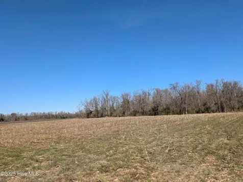 000 Cedar Fork Road Beulaville NC 28518