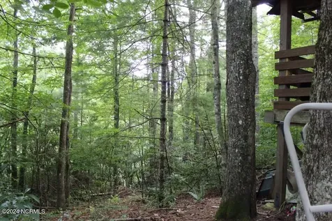 574 Pine Creek Road Cullowhee NC 28723