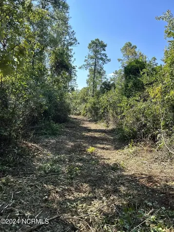 326 Sand Ridge Road Hubert NC 28539
