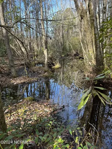326 Sand Ridge Road Hubert NC 28539