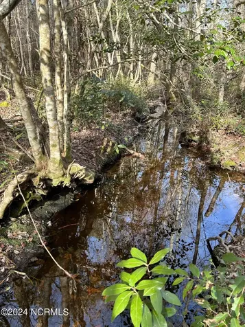 326 Sand Ridge Road Hubert NC 28539