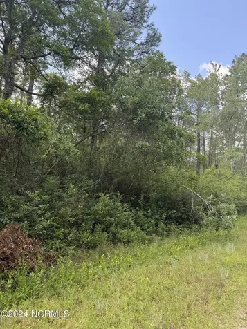 1120 Beech Road Boiling Spring Lakes NC 28461