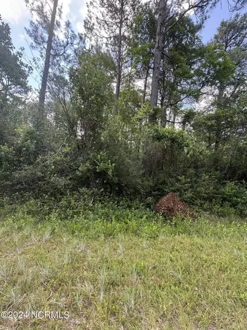 1120 Beech Road Boiling Spring Lakes NC 28461