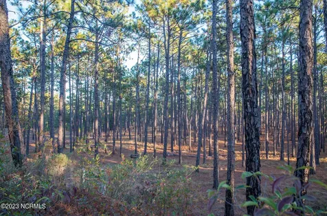 145 Pixie Moss Lane Southern Pines NC 28387