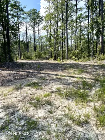 280 Donnie Davis Road Williston NC 28589
