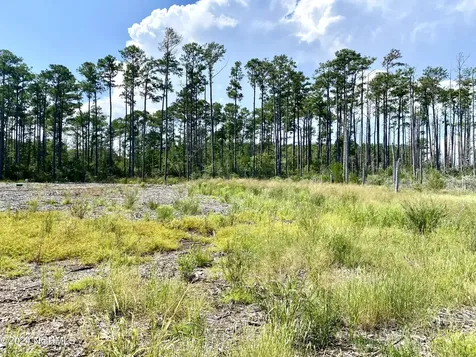 280 Donnie Davis Road Williston NC 28589