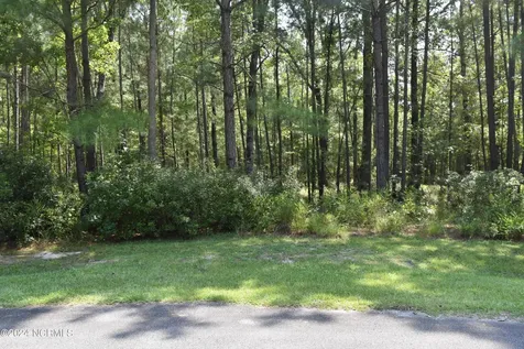 3 Alexander Drive Belhaven NC 27810