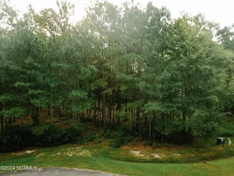 3 Alexander Drive Belhaven NC 27810