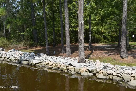 3 Alexander Drive Belhaven NC 27810