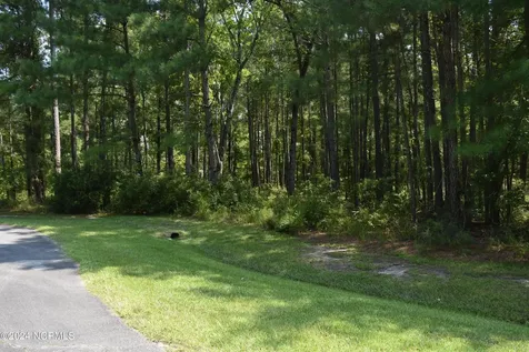 3 Alexander Drive Belhaven NC 27810