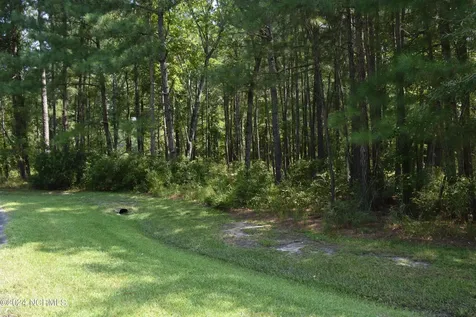 3 Alexander Drive Belhaven NC 27810