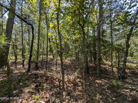 445 Thimbleberry Drive Vass NC 28394