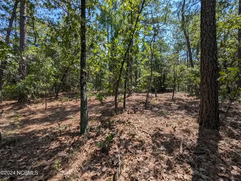 445 Thimbleberry Drive Vass NC 28394