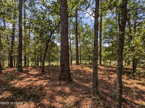 445 Thimbleberry Drive Vass NC 28394