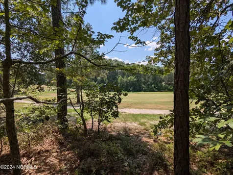445 Thimbleberry Drive Vass NC 28394