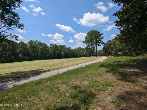 445 Thimbleberry Drive Vass NC 28394