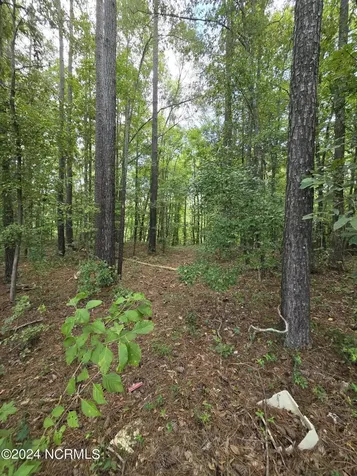 0 Mcnair Road Plymouth NC 27962