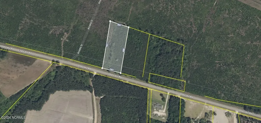 00 Old Lake Road Riegelwood NC 28456
