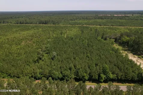 00 Old Lake Road Riegelwood NC 28456
