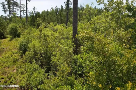 00 Old Lake Road Riegelwood NC 28456