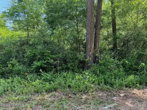 00 Old Lake Road Riegelwood NC 28456