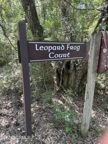 6 Leopard Frog Court Bald Head Island NC 28461