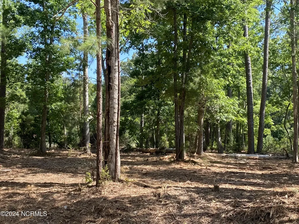 281 Winding Creek Drive Oriental NC 28571