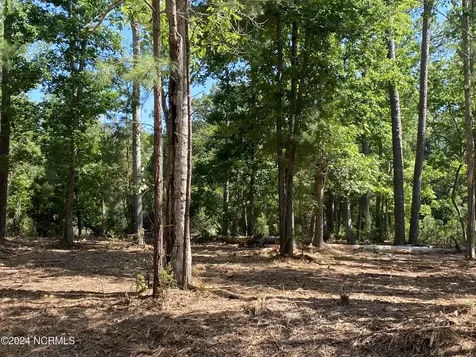 281 Winding Creek Drive Oriental NC 28571