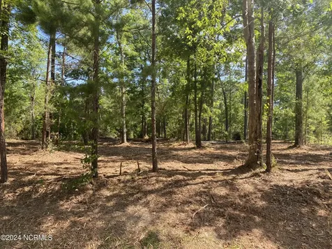 281 Winding Creek Drive Oriental NC 28571