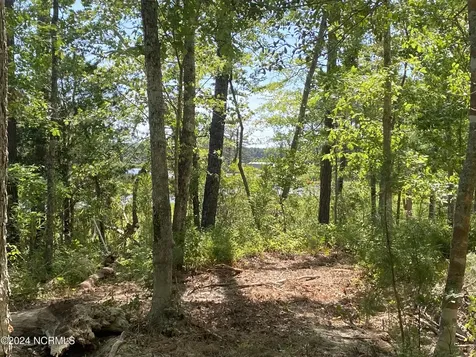 281 Winding Creek Drive Oriental NC 28571