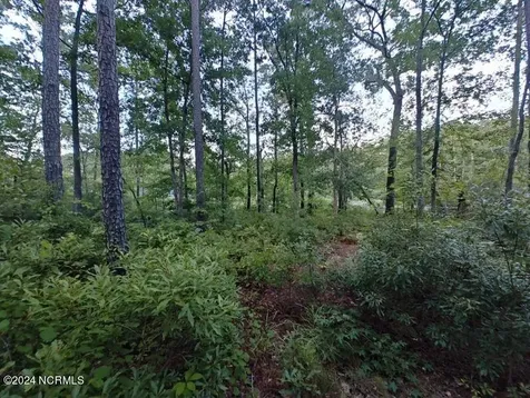 33 Mixon Creek Drive Bath NC 27808