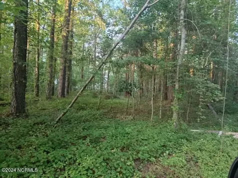 33 Mixon Creek Drive Bath NC 27808