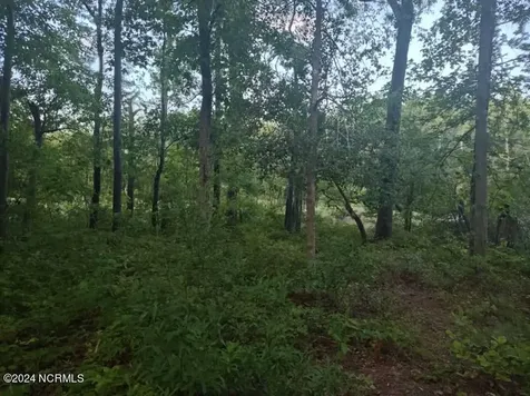 33 Mixon Creek Drive Bath NC 27808