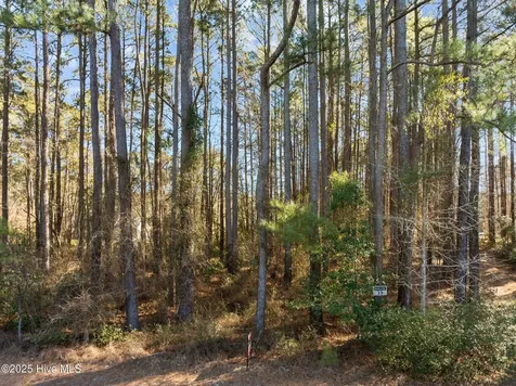 33 Mixon Creek Drive Bath NC 27808