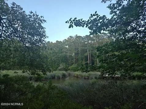 33 Mixon Creek Drive Bath NC 27808