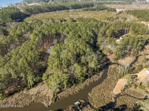 33 Mixon Creek Drive Bath NC 27808