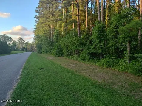 33 Mixon Creek Drive Bath NC 27808