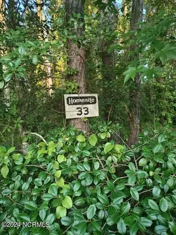33 Mixon Creek Drive Bath NC 27808