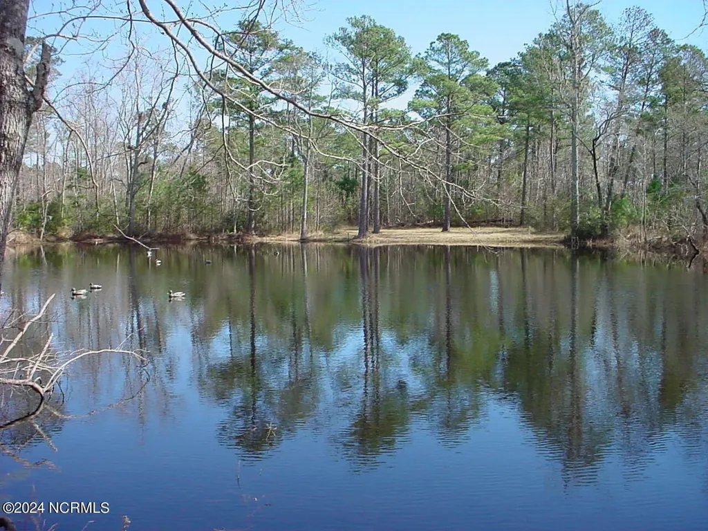 Lot #1 Harts Lane Rocky Point NC 28457