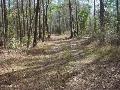 Lot #1 Harts Lane Rocky Point NC 28457