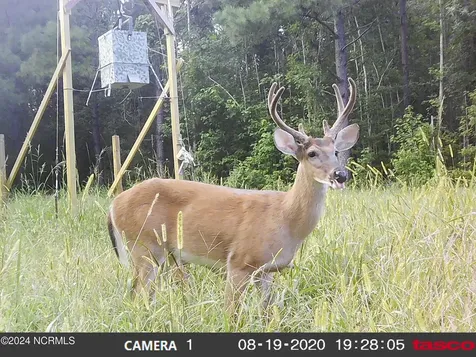 Lot #1 Harts Lane Rocky Point NC 28457