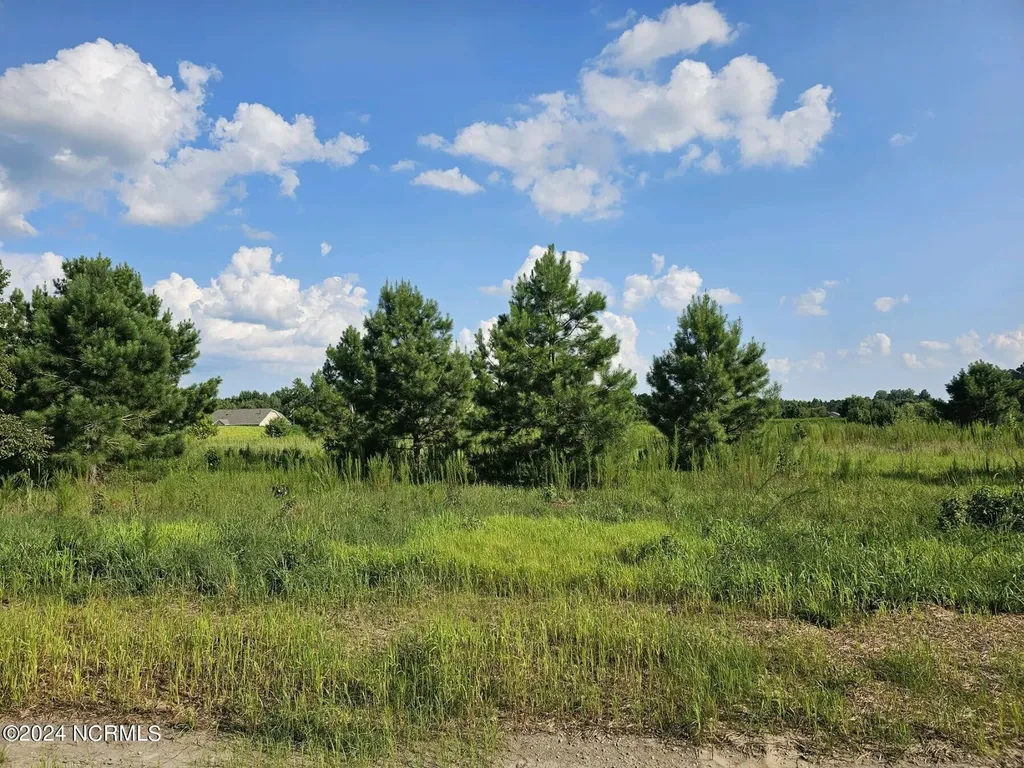 104 Abbey Road Vanceboro NC 28586