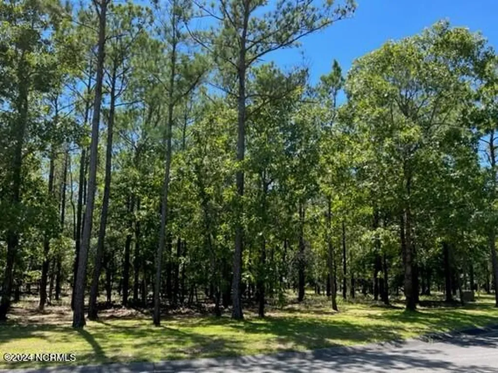 2907 Aranda Grove SE Bolivia NC 28422