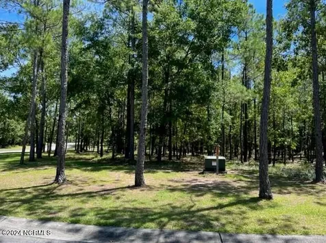 2907 Aranda Grove SE Bolivia NC 28422