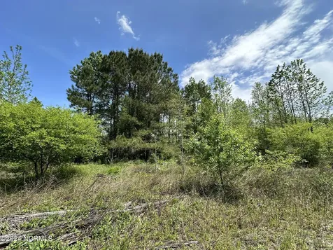 N11 0 1 Sr 1004 Turkey NC 28393