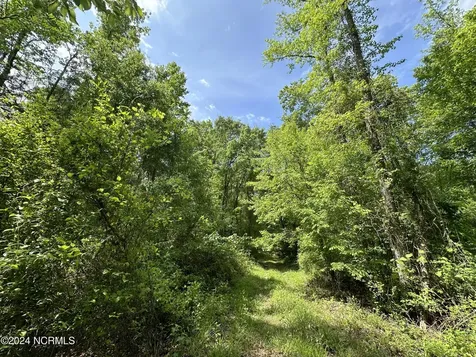 N11 0 1 Sr 1004 Turkey NC 28393