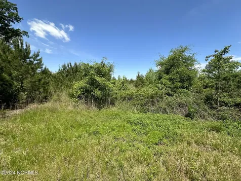 0 Needmore Road Turkey NC 28393